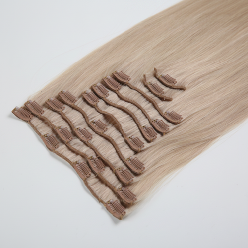 Daisy Lux Beauty™ Premium Quality "CLASSIC CLIP-IN" Remy Hair Extensions